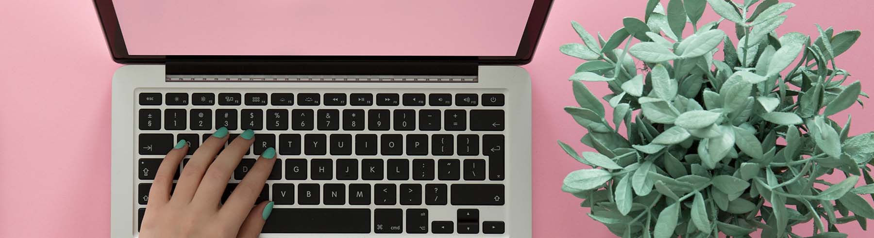 Female hands typing on laptop